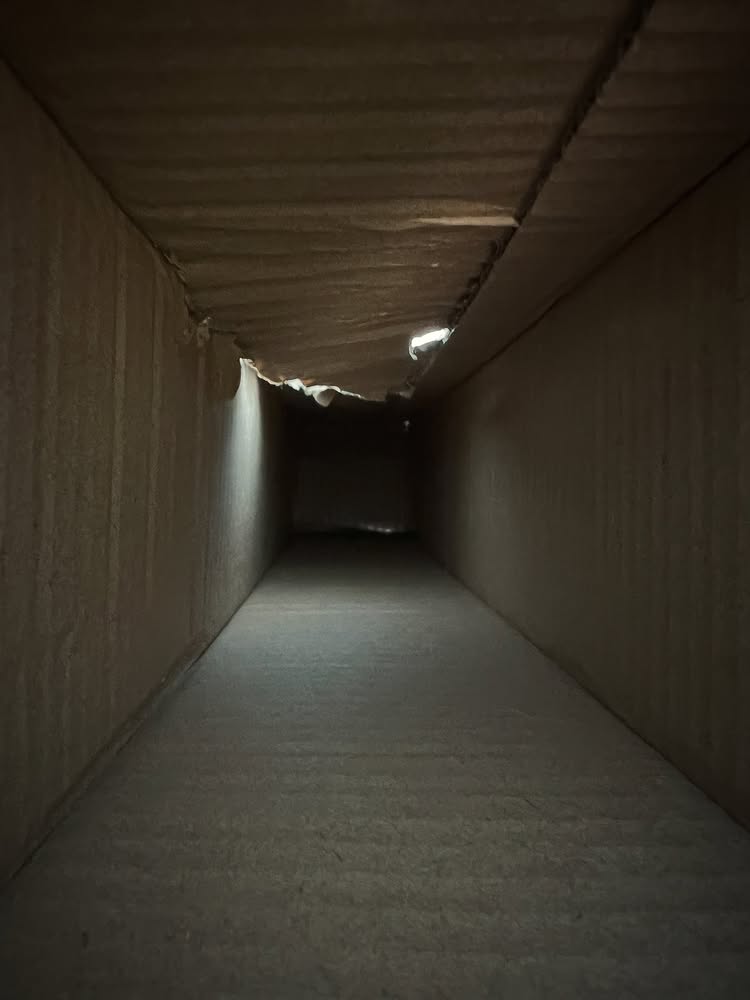 Corridor 02